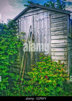 Vecchio giardino in un'assegnazione abbandonata Foto Stock