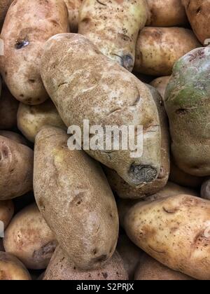 Full frame closeup di fresca bruna mature materie Cottura patate. Foto Stock