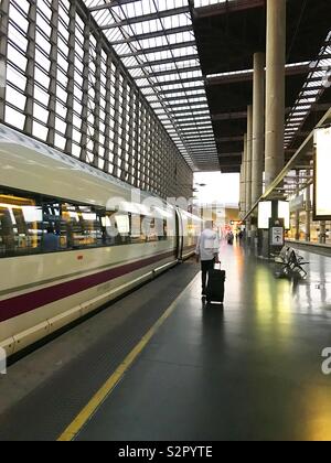 Piattaforma. Puerta de la stazione ferroviaria di Atocha, Madrid, Spagna. Foto Stock