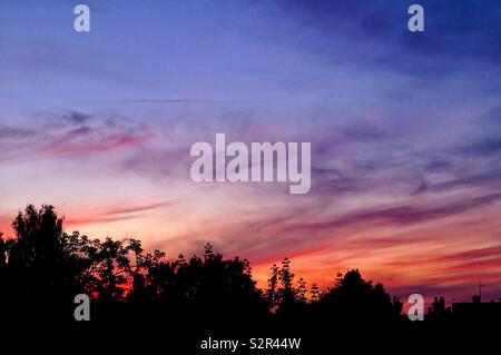 Sagome di alberi contro il cielo di sera Foto Stock