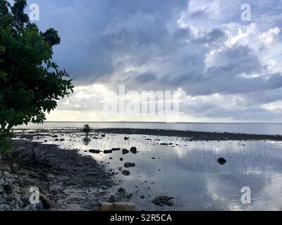 Area costiera di conflitto storico, Patikul, Sulu Mangrovie dove stanno crescendo lungo il litorale. Foto Stock