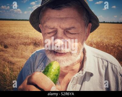 Outdoor ritratto del barbuto agricoltore senior pronto a mangiare organico permanente di cetriolo in campo di grano Foto Stock