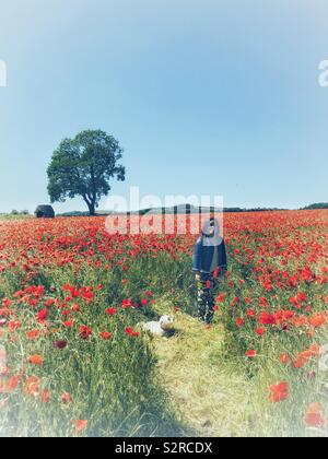 Signora in piedi nel campo di papavero Foto Stock