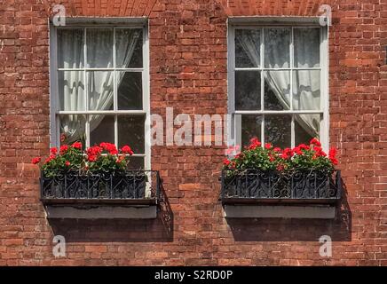 Simmetria in una coppia di finestre con vasi di fiori. Foto Stock