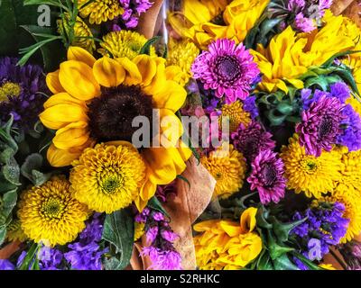 Fragrante bouquet di coloratissimi fiori estivi compresi zinnias giallo, viola crisantemi, e un grande enorme giallo girasole. Foto Stock