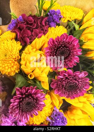 Fragrante bouquet di coloratissimi fiori estivi compresi porpora e giallo crisantemi e giallo zinnias in piena fioritura. Foto Stock