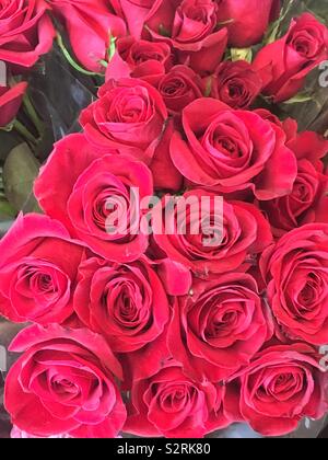Bel bouquet di una dozzina di rose rosse in piena fioritura. Foto Stock