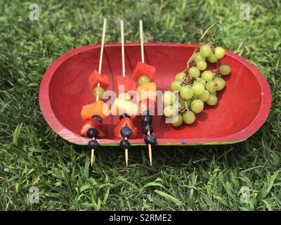 Gli spiedini di frutta su un piatto rosso visualizzato sul prato fuori su un pomeriggio estati Foto Stock