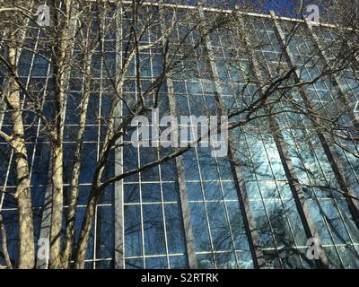 Vista verticale di una commerciale/alti edifici alti office windows che hanno riflessi alberi sfrondato durante l'inverno a Melbourne, Australia. Foto Stock