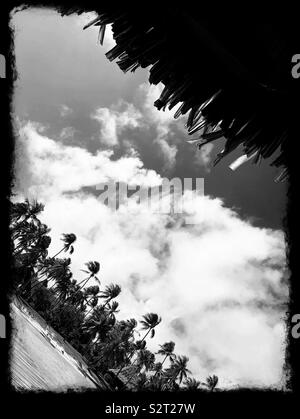 Una scena tropicale su Rangiroa, Arcipelago Tuamotu, Polinesia Francese Foto Stock