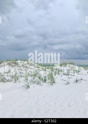 Bella bianco dune di sabbia sulla spiaggia con vista del Golfo del Messico Foto Stock