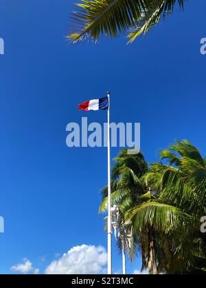 Il francese bandiera tricolore sorvolano Papeete, Tahiti, Polinesia francese. La Polinesia Francese è un paese d'oltremare o collettività di Francia e i suoi cittadini tenere il passaporto francese. Foto Stock