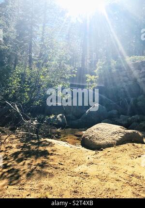 Vita di montagna a valle Eremita nella California settentrionale tra la foresta e il fiume e le rocce con il bel sole che splende attraverso Foto Stock