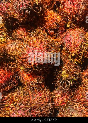 Mature rambutan, Nephelium lappaceum, frutti tropicali e semi. Foto Stock