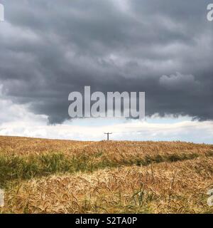 Palo del telegrafo nel campo di grano Foto Stock