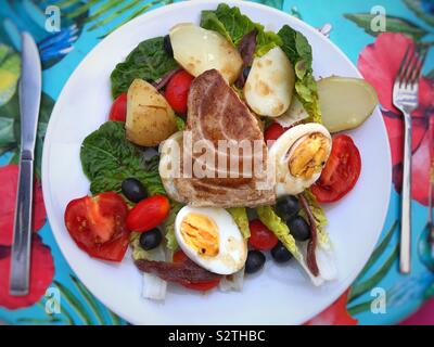 Insalata Nizzarda con tonno rosolata, uova, pomodori, olive nere, acciughe, le patate di primizia e lattuga. Foto Stock