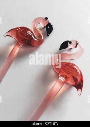 Fenicotteri rosa agitare bastoni close up Foto Stock