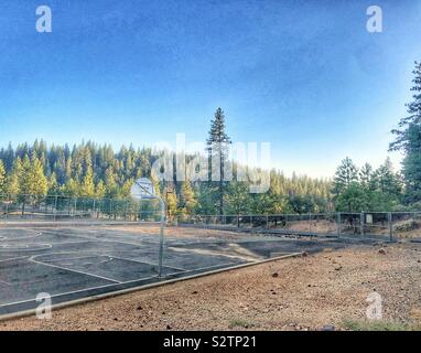 Campo da pallacanestro tra la foresta in una scuola Foto Stock