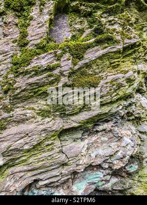 Moss coperti con pietra scistosa parete Foto Stock