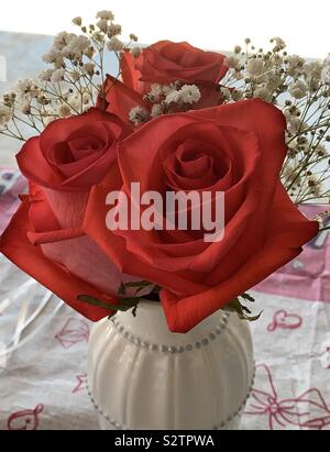 Bella disposizione delle rose rosse con il bimbo di respiro in un vaso bianco Foto Stock