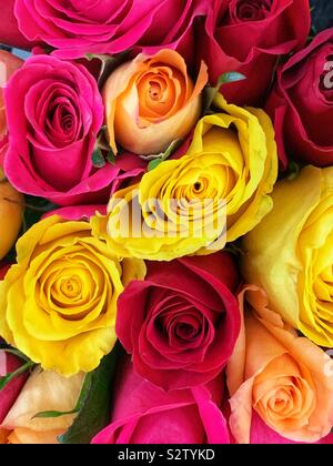 Bellissimo mazzo di fiori colorati di rosso, rosa, giallo e arancione di rose in piena fioritura. Foto Stock