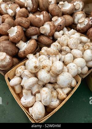 Cestini di legno pieno di fattoria fresco allentato marrone e bianco di funghi cremini. Foto Stock