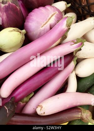 Uovo asiatici piante sono lunghe e sottili di verdure Foto Stock