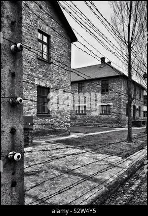 Una visualizzazione monocromatica di alcuni degli edifici al nazista di campo di concentramento di Auschwitz (nella città polacca di Oswiecim). Il elettrica e filo spinato scherma è chiaramente visibile. Foto © COLIN HOSKINS. Foto Stock
