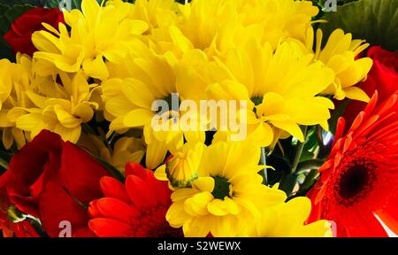 Rosso brillante, giallo e arancione di agrumi fiori colorati in un mazzo di fiori Foto Stock