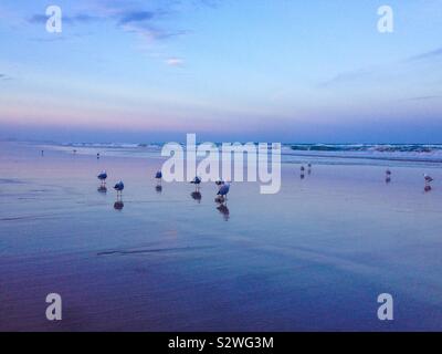 Tramonto a bassa marea sulla spiaggia con un riflesso speculare di nuvole, acqua di mare e di gabbiani e vivido viola, rosa, blu e argento i colori Foto Stock