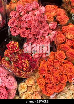 Molti mazzi di fiori di rosa fresca, giallo e rose rosse. Foto Stock
