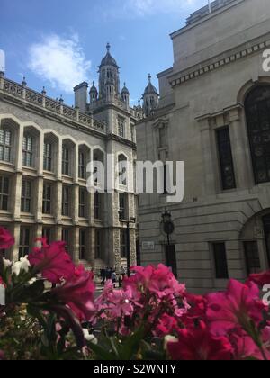 Fiori contro edifici della banca su Chancery Lane, Londra Foto Stock