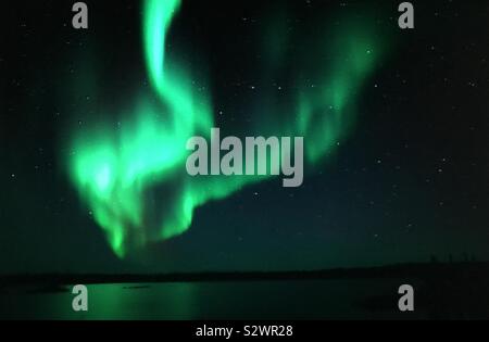 Luci del nord, aurora boreale, come visto da di Yellowknife, Territori del Nord-ovest , Canada Foto Stock