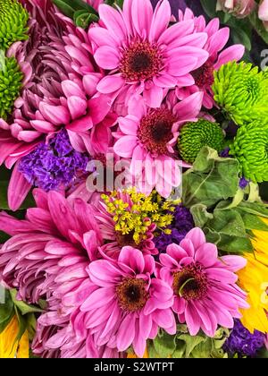 Bel bouquet di margherite rosa e giallo e verde fogliame. Foto Stock