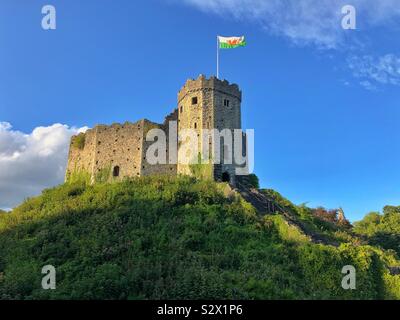 Il Castello di Cardiff tenere, battenti bandiera gallese, Settembre. Foto Stock