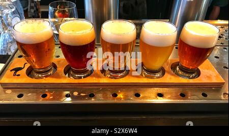 Degustazione di birra a Brouwerij 't IJ Foto Stock