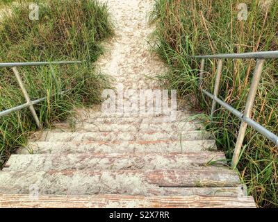 Sandy la passerella che conduce verso il basso per una spiaggia in Carolina del Sud degli Stati Uniti. Ogni lato del sentiero ha protetto il mare l'erba che cresce in dune. Foto Stock