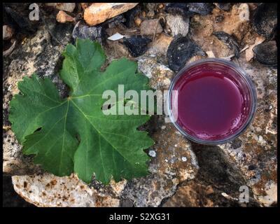 Tempranillo freschi succhi di uva, Catalogna, Spagna. Foto Stock