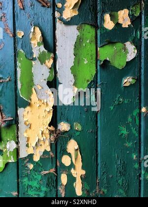 Peeling vernice verde su una vecchia porta di legno Foto Stock