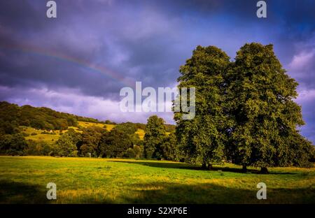 Rainbow su campagna di Cromford Derbyshire Peak District Inghilterra UK con cielo tempestoso e alberi Foto Stock