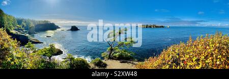 Panorama di Capo lusinghe il punto più occidentale degli Stati Uniti continentali, vicino al Makah Indian Reservation, Neah Bay, nello Stato di Washington Foto Stock