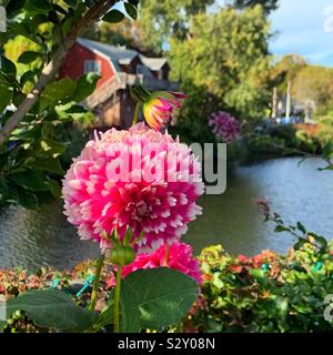 Una vista dal ponte di fiori, Shelburne Falls, Massachusetts, Stati Uniti Foto Stock