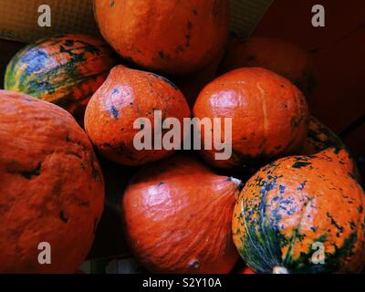 Hokkaido arancione composizione di zucche Foto Stock