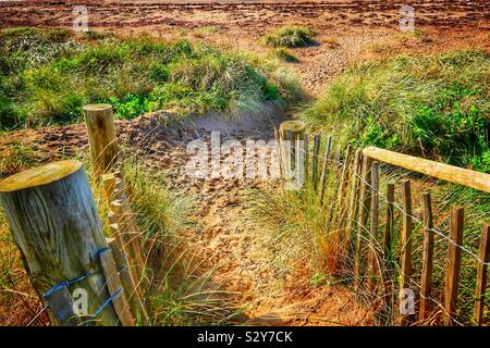 Spiaggia di sabbia e il percorso Foto Stock