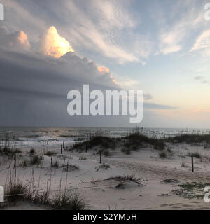 La terapia di spiaggia a Perdido Key.