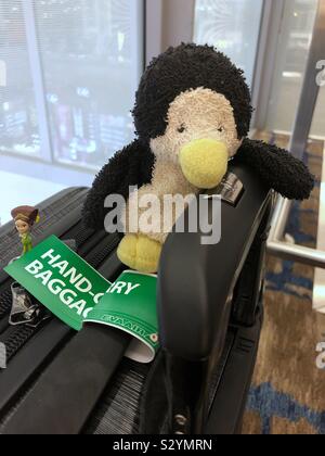 Piccolo Pinguino pronto per andare in vacanza. Foto Stock