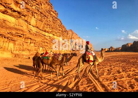 Cammelli nel Wadi Rum deserto giordano Foto Stock
