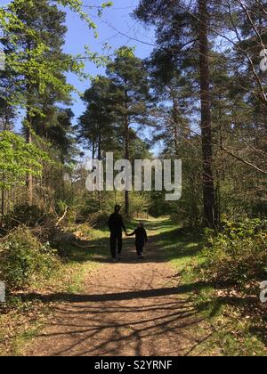 Madre e figlio passeggiate nella foresta Foto Stock