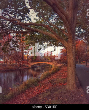 Autunno di scena sul fiume Charles Esplanade, Boston, Massachusetts. Foto Stock