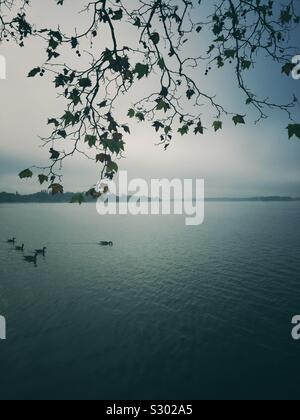 Il lago di Tegel Berlino Germania Foto Stock